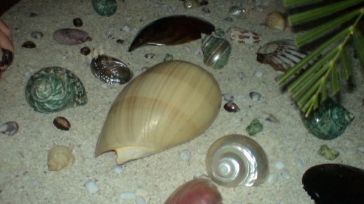 佬沃之旅(961106)