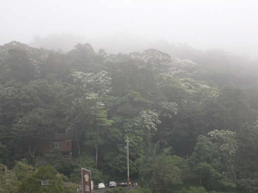 泰安溫泉之旅(960427)