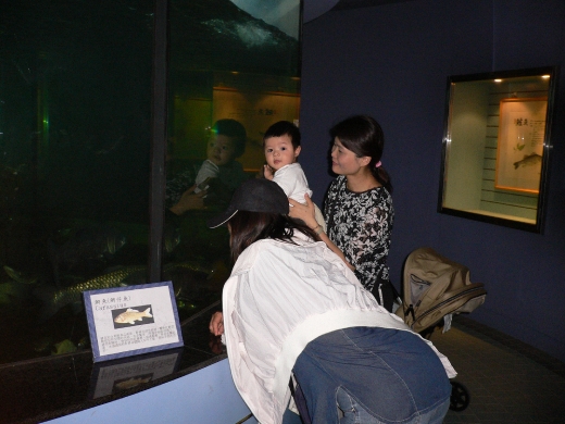 江南之旅(940502)_29