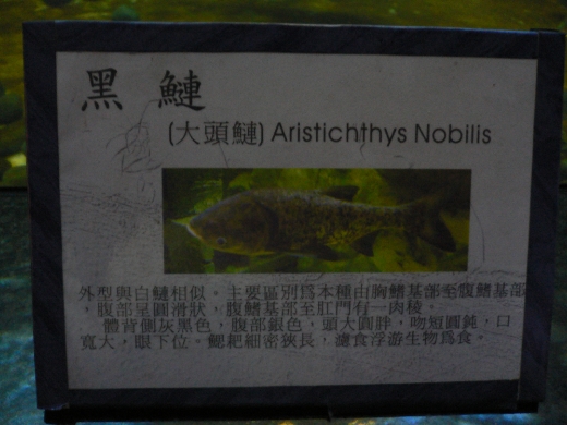 江南之旅(940502)_30