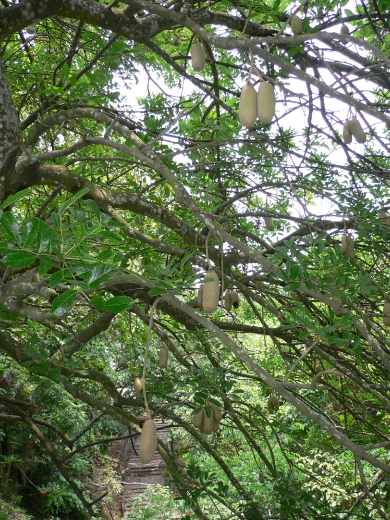 江南之旅(940502)_51