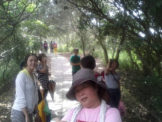 【業務活動】1040629台中萬里長城_7