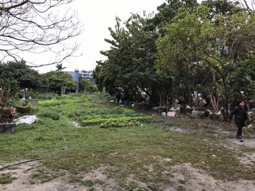 1060224至善園慶生_4