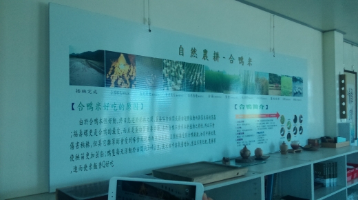 1030714~16國內旅遊 - 花蓮海岸行