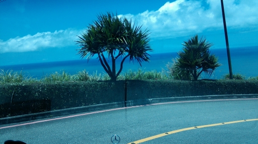 1030714~16國內旅遊 - 花蓮海岸行