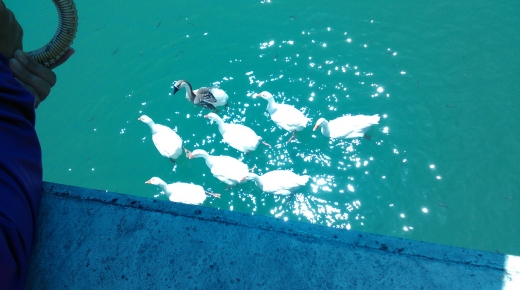1030714~16國內旅遊 - 花蓮海岸行