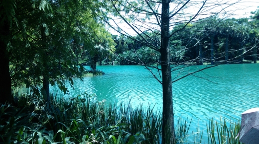 1030714~16國內旅遊 - 花蓮海岸行