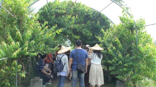 1040920中秋慈心農場