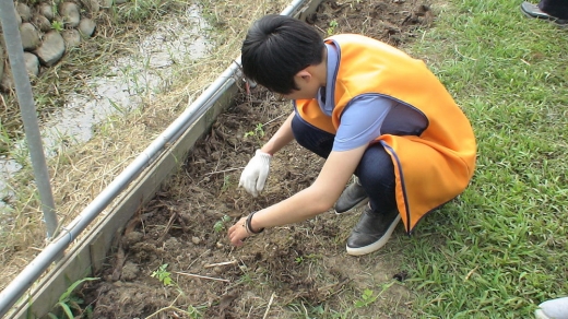 1040920中秋慈心農場