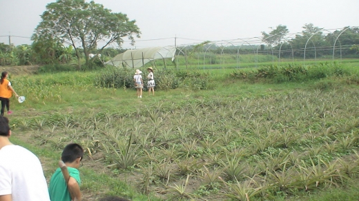 1040920中秋慈心農場