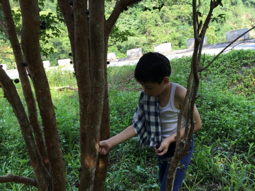 20160429秀峰農場_48