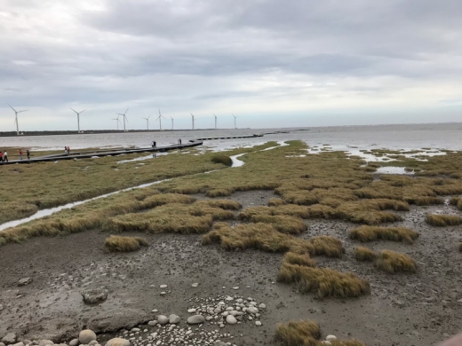  【業務活動】20190930 高美濕地半日遊_3