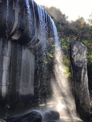 【業務活動】20191128八卦山文學步道健行_2